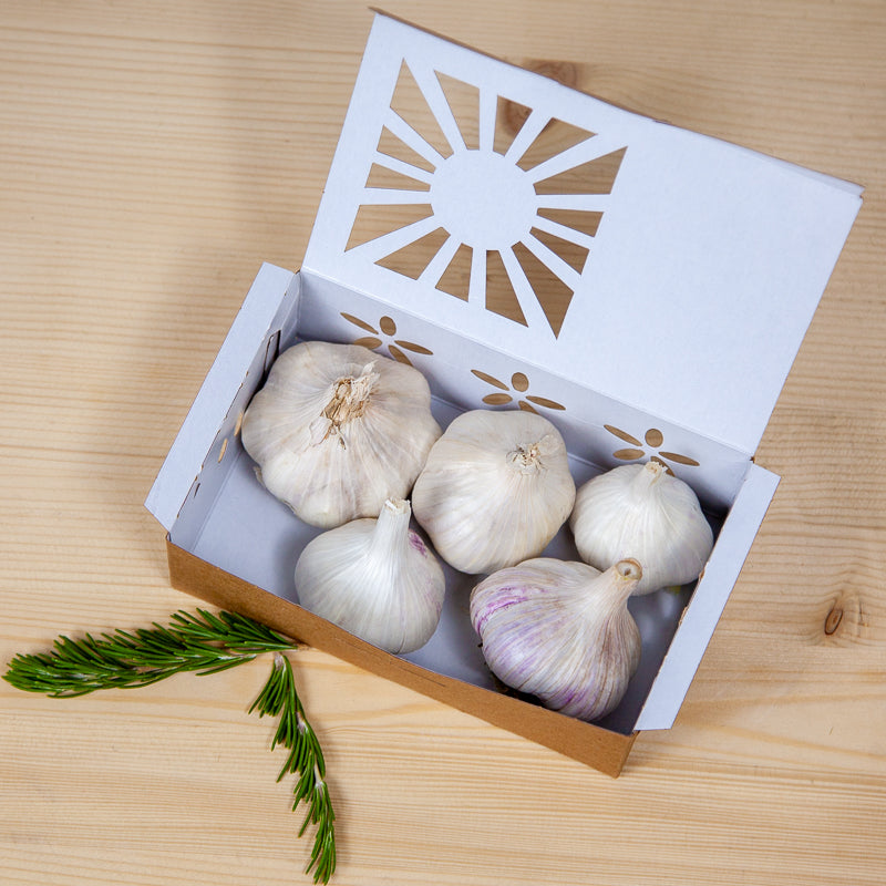 Full of Flavor Curated Organic Garlic Pack Grow Organic
