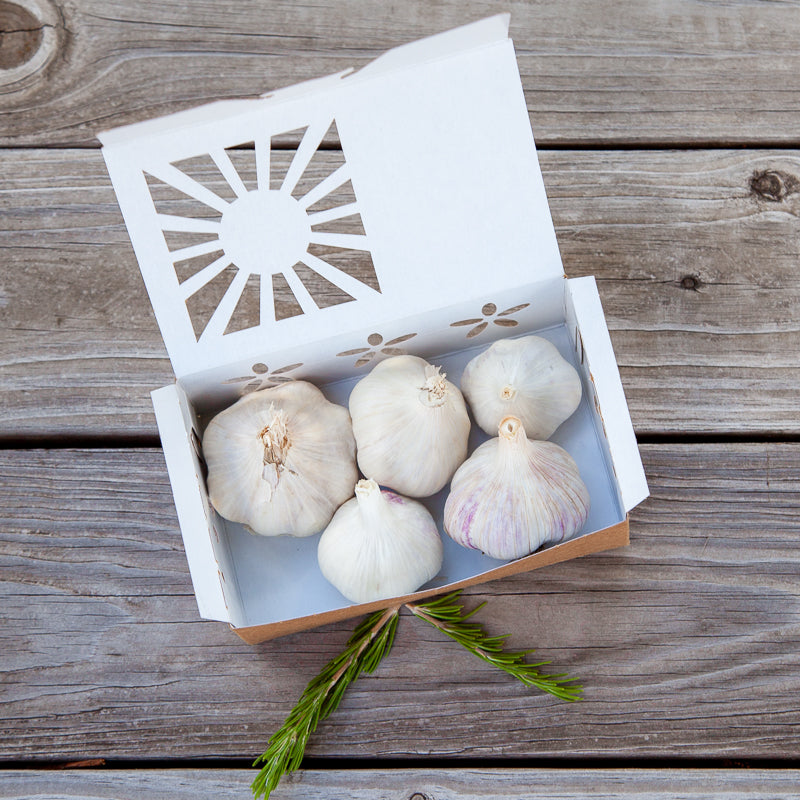 Full of Flavor Curated Organic Garlic Pack Grow Organic