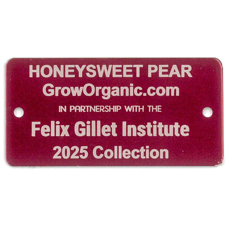 Honeysweet Pear Tree Felix Gillet Institute