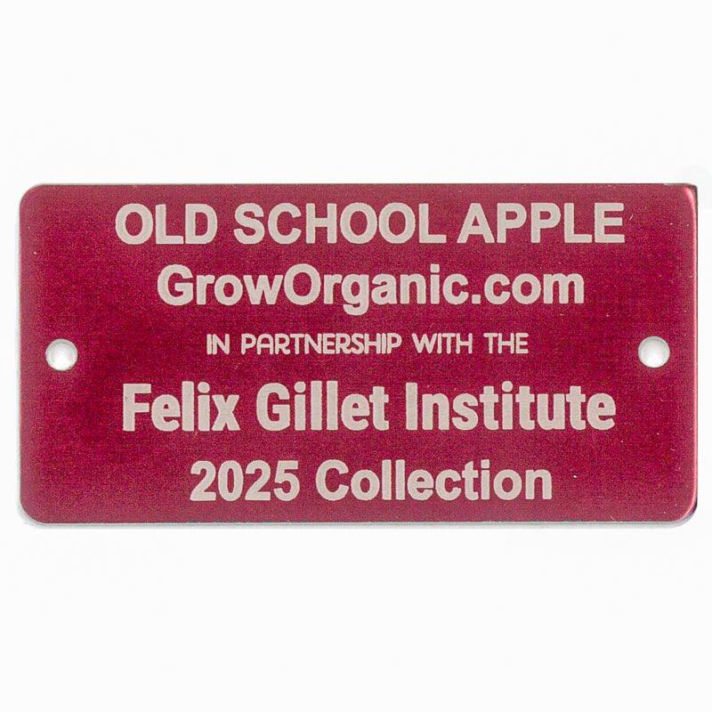 Old School Apple Tree Felix Gillet Institute