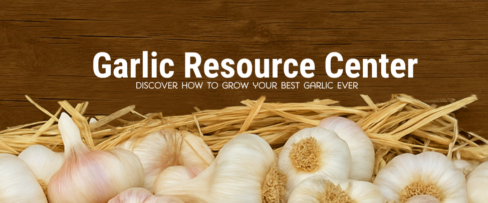 Garlic Resource Center banner with garlic bulbs on straw and wood background, featuring the text “Discover how to grow your best garlic ever.”
