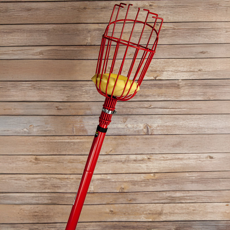 Pole Fruit Picker Grow Organic