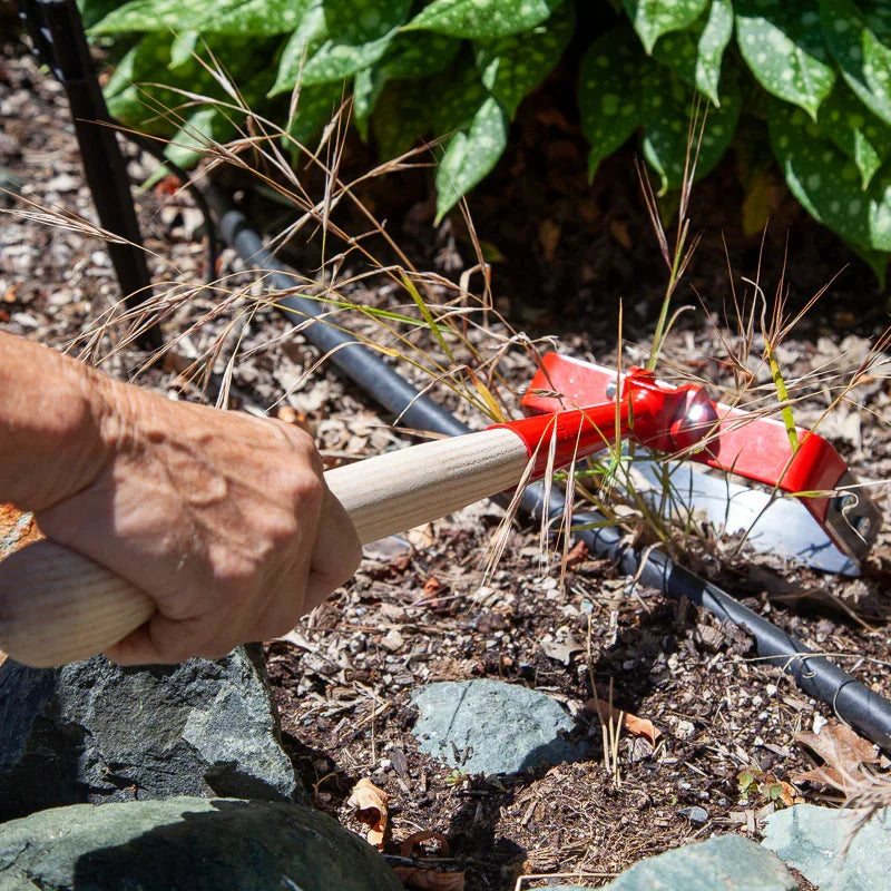 Glaser 7" Stirrup Hoe Head Glaser