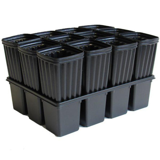 12 Pocket Tray with 12 Almond Tree Pots PV Drop Ship