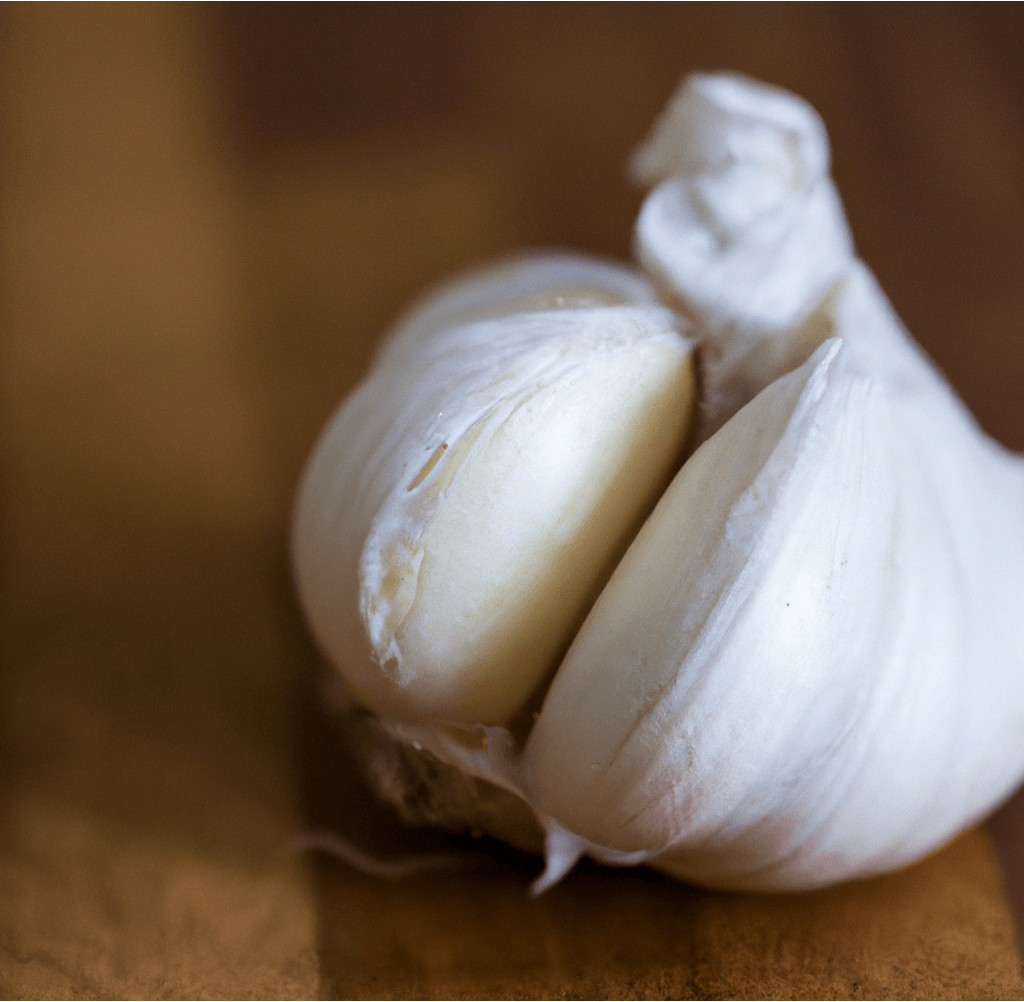 Organic German Xtra Hardy Garlic (Lb) Grow Organic