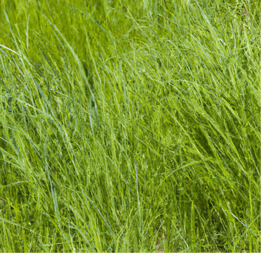 Peaceful Valley Grass Hay Mix (lb) PV Drop Ship