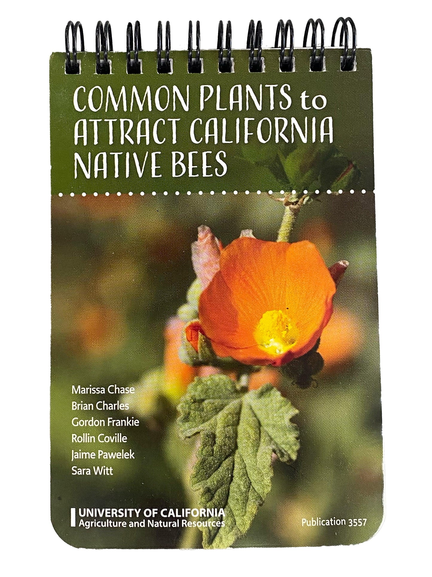 Common Plants to Attract California Native Bees ID Cards Grow Organic