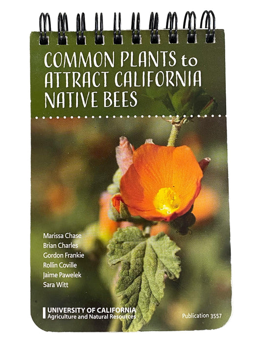 Common Plants to Attract California Native Bees ID Cards Grow Organic