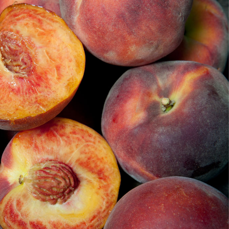 Zaiger Pride Peach, 3 on 1 Multi Grafted Fruit Tree Grow Organic