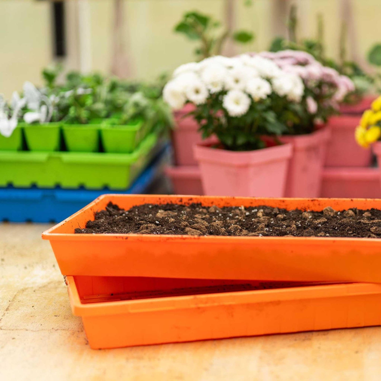 1020 Seed Starting Trays Bootstrap Farmer
