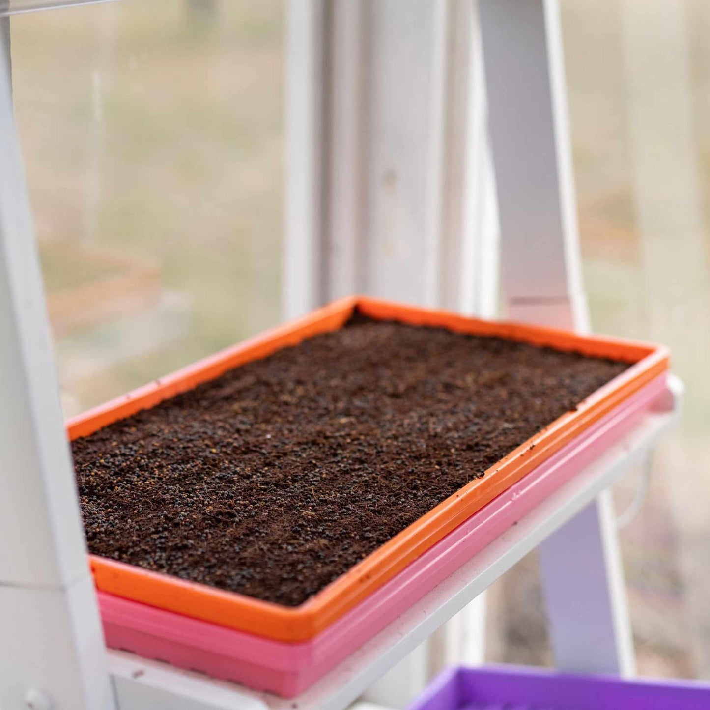 1020 Microgreen Trays Shallow Extra Strength Bootstrap Farmer