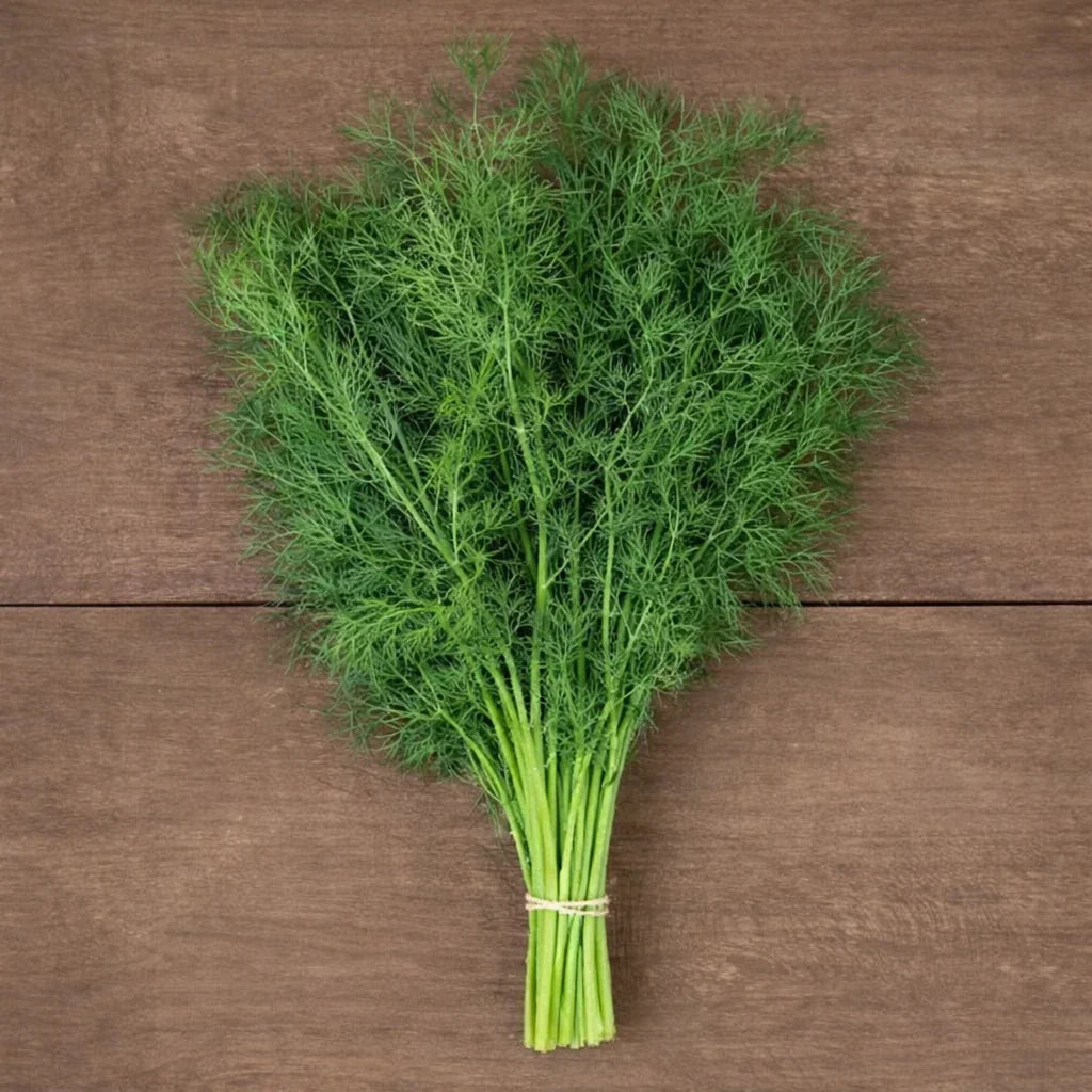 Organic Ceres Dill Seeds High Mowing Seeds