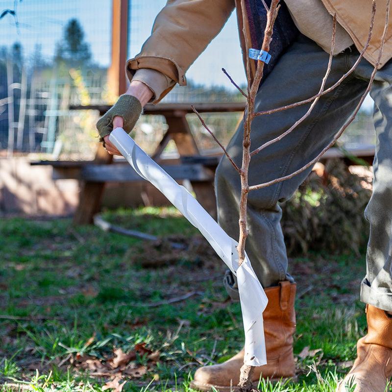 Spiral Tree Guards - 36" (Pack of 5) Grow Organic