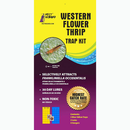 Western Flower Thrip Trap Kit 2 pack 