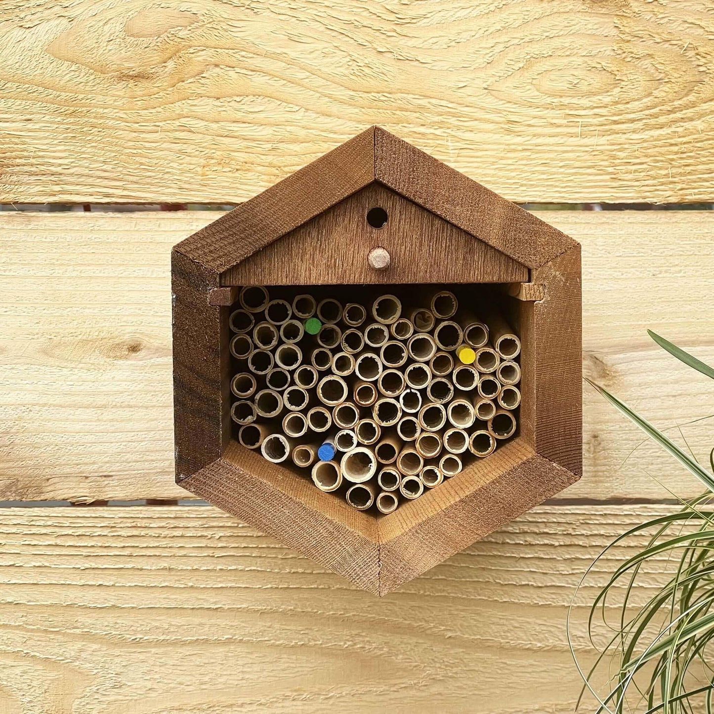 Cabana Bee House - Small Hex CrownBees