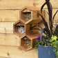 Cabana Bee House - Small Hex