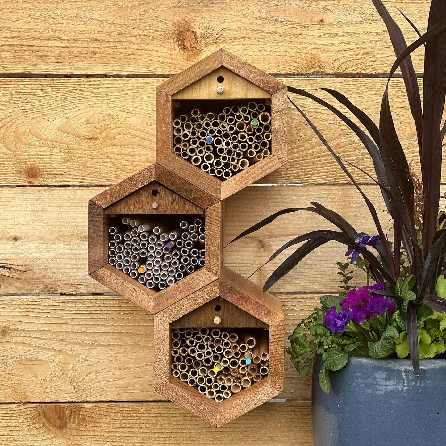 Cabana Bee House - Small Hex CrownBees