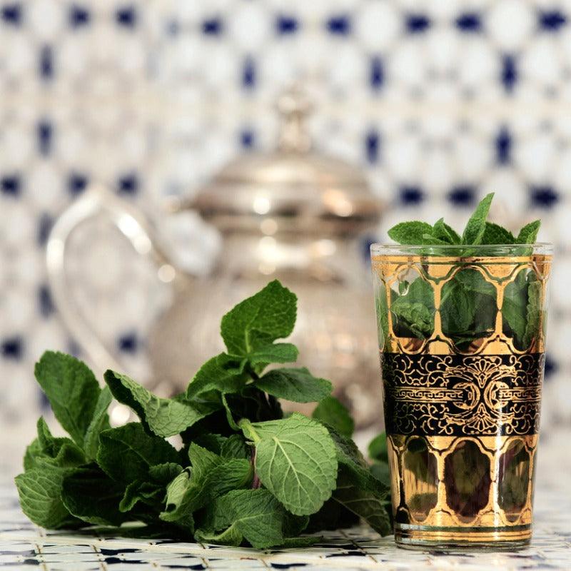 Organic Moroccan Mint (1 Gallon) Fresh Starts Organic Farm