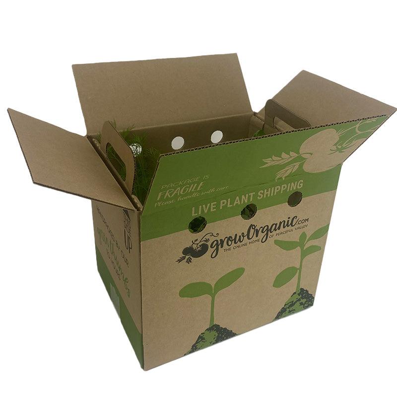 Organic Green Arrow Shelling Pea Grow Organic