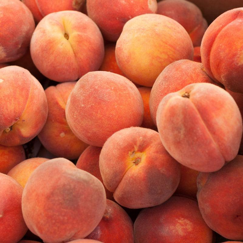 Belle of Georgia Peach Tree Grow Organic