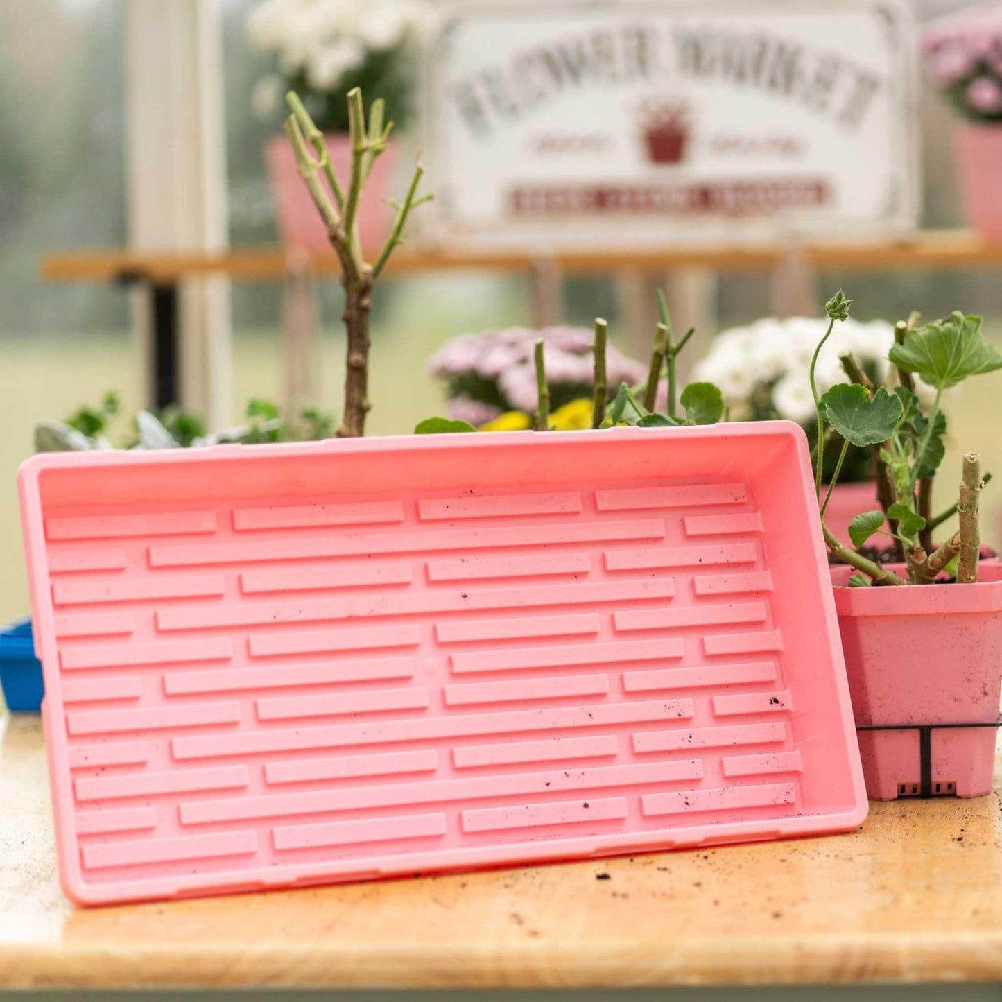 1020 Seed Starting Trays Bootstrap Farmer