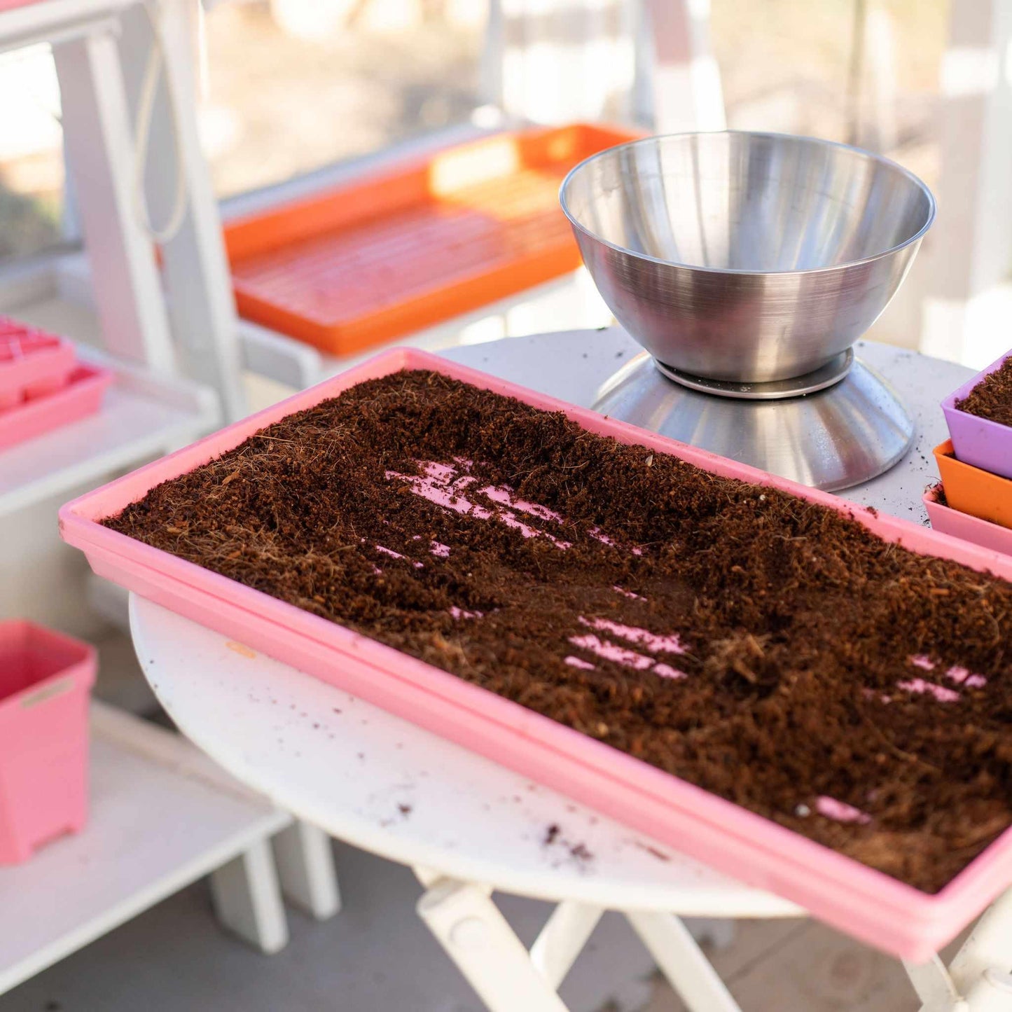 1020 Microgreen Trays Shallow Extra Strength Bootstrap Farmer