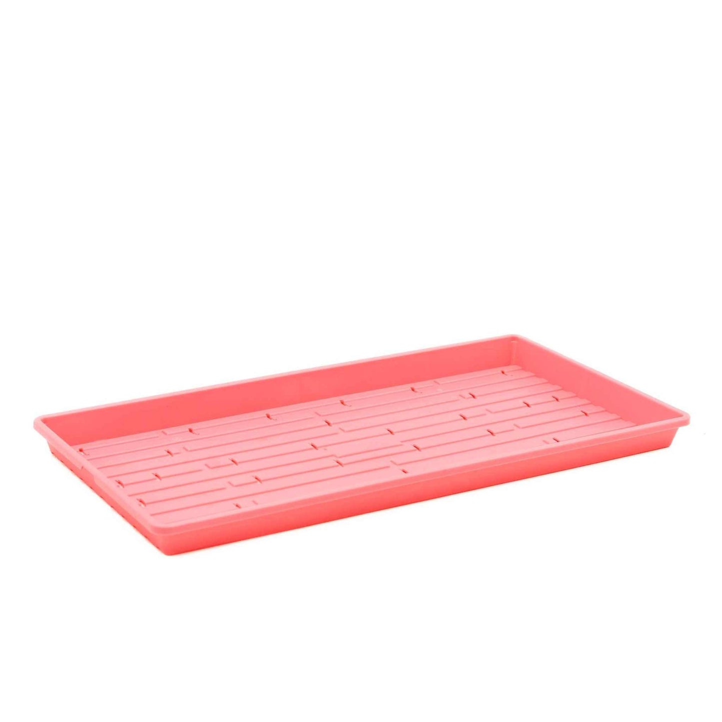 1020 Microgreen Trays Shallow Extra Strength Pink / 10 Trays / With Holes Bootstrap Farmer