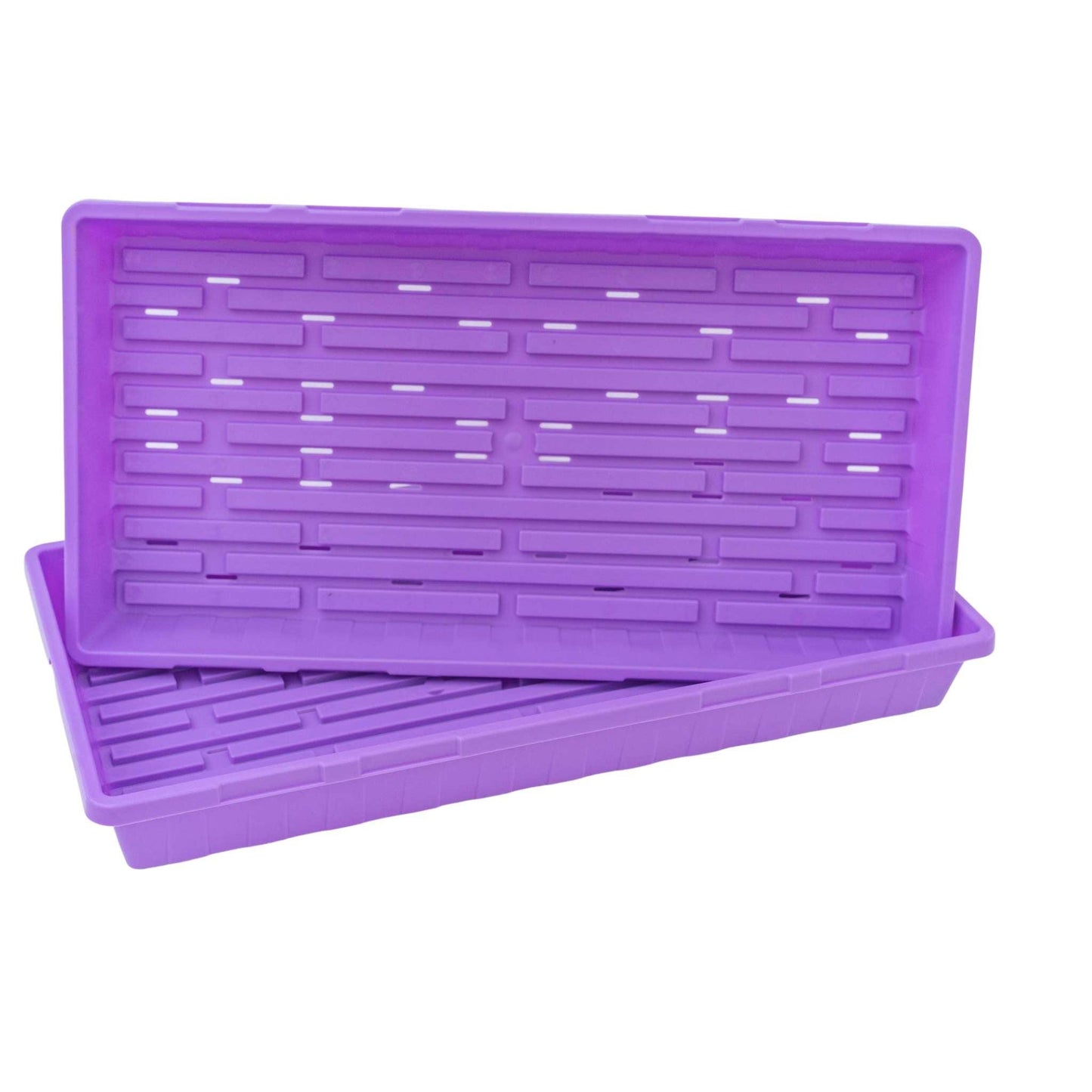 1020 Seed Starting Trays Purple / 1 Tray / With Holes Bootstrap Farmer