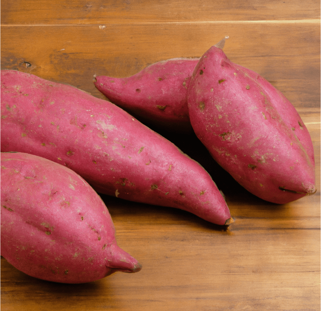 Red Japanese Sweet Potato Slips PV Drop Ship