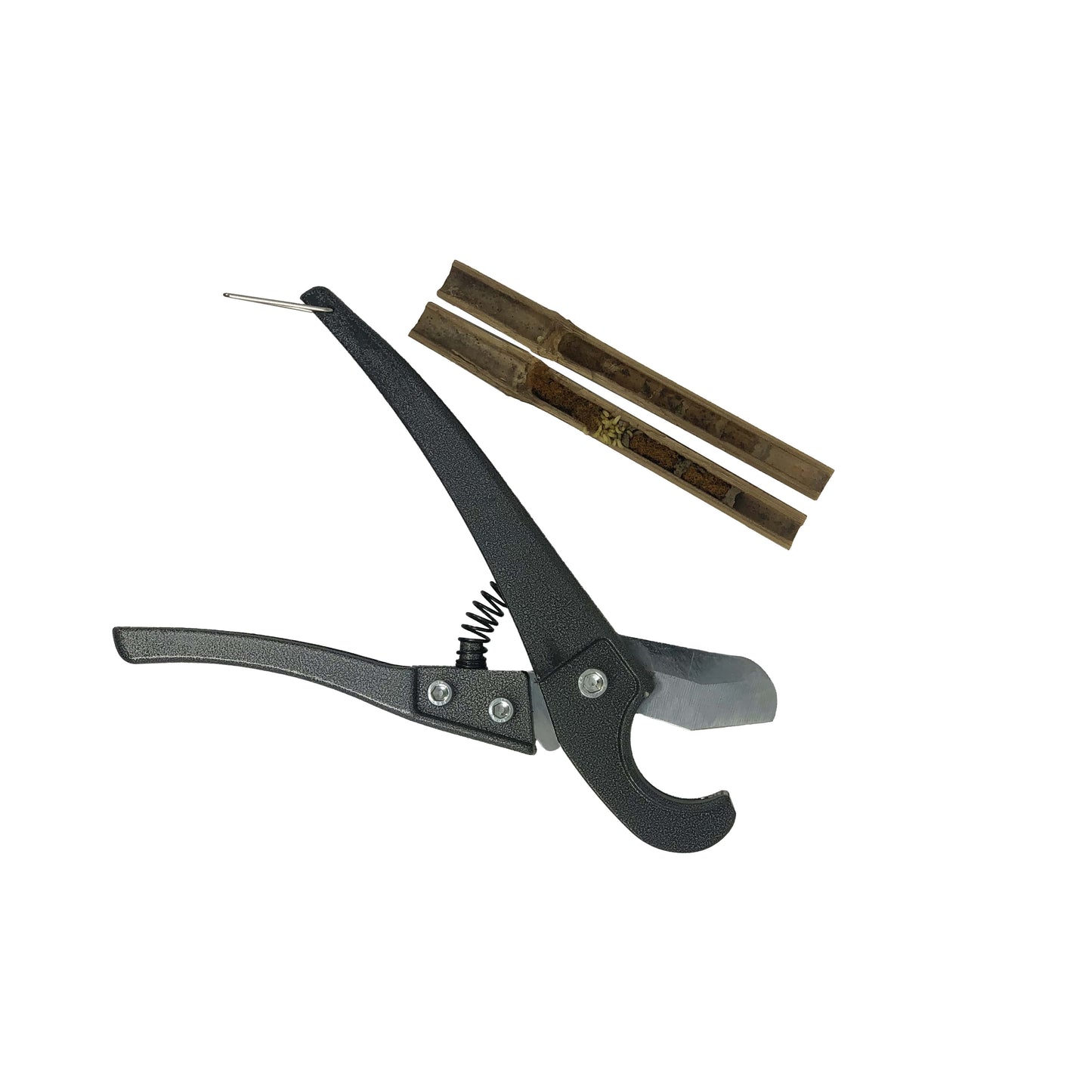 Reed Splitter CrownBees