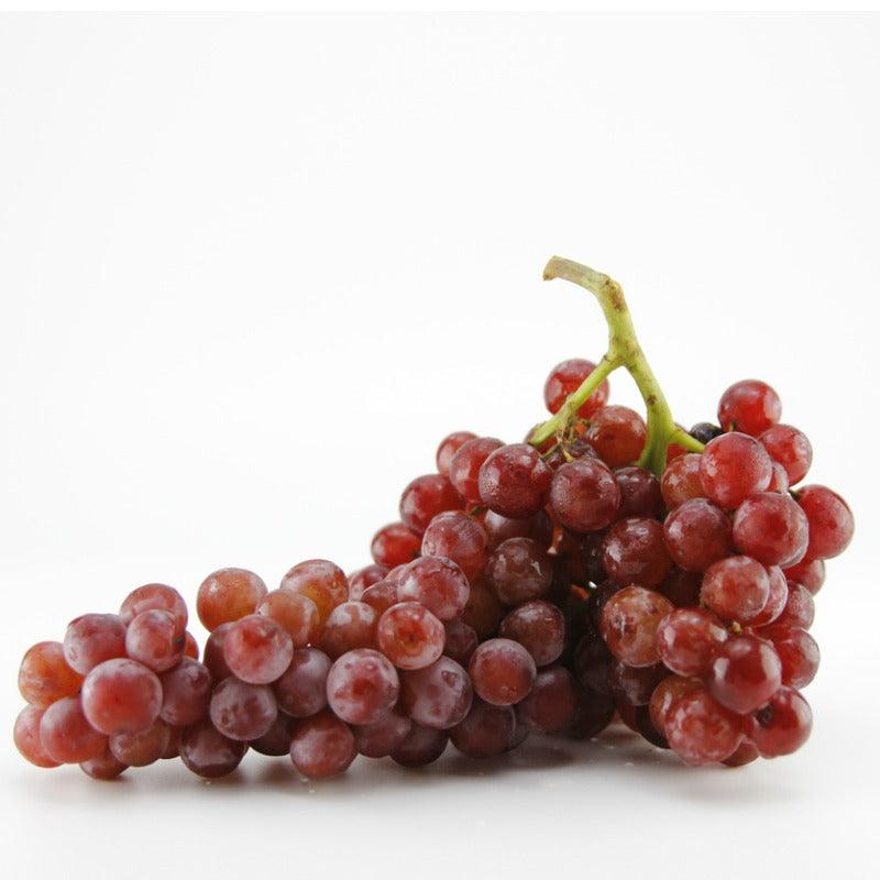 Table Grape Vine - Reliance (Seedless) Grow Organic