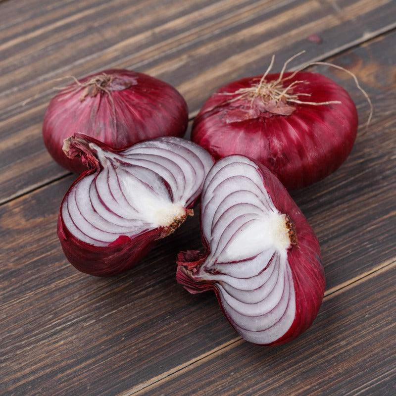 Onion Sets Dutch - Red Baron (Pack of 75) Grow Organic