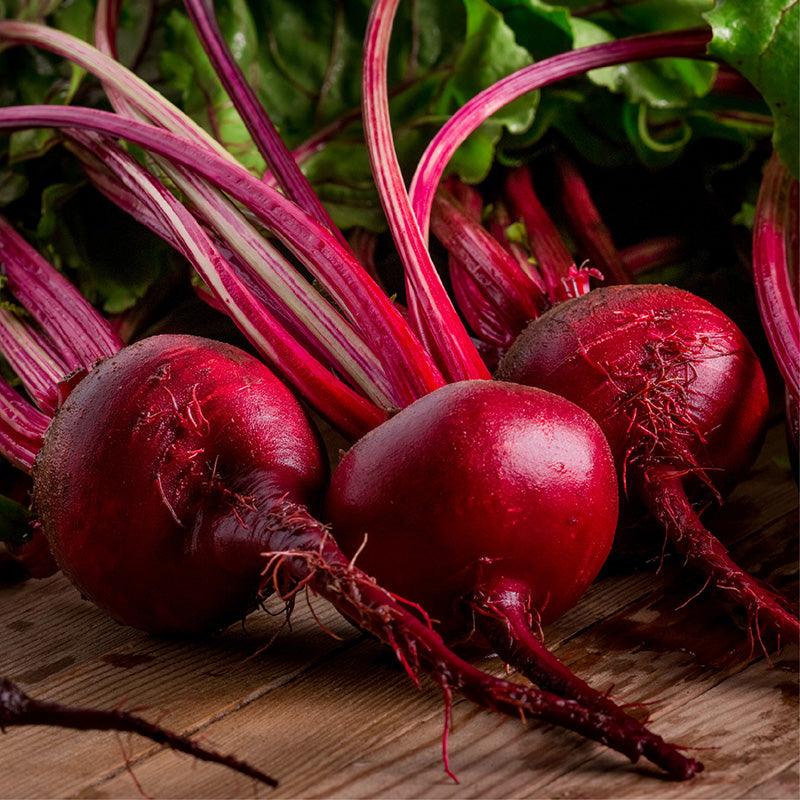 Boro Beet Seeds San Diego Seed Company