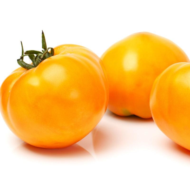 Valencia Tomato Seeds SD (Organic) San Diego Seed Company