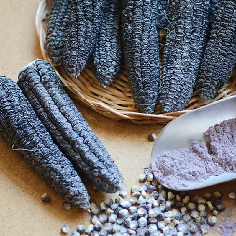 indian corn seeds for planting Hooker's Sweet Indian Corn Seeds (Organic)