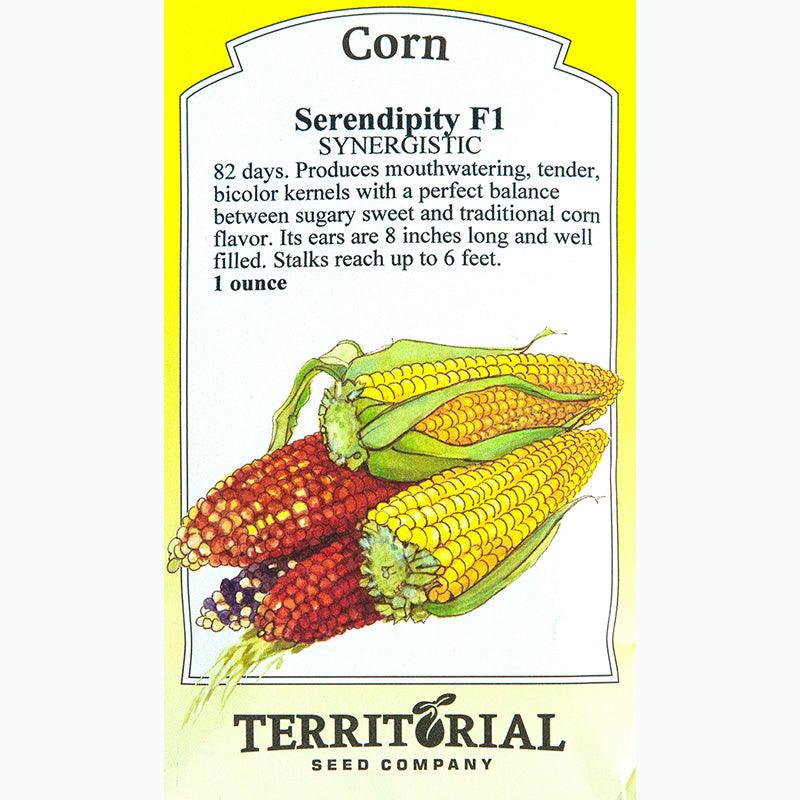 Serendipity Corn Seeds Territorial Seed Company