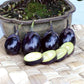 Harvested Patio Baby Eggplant behind Slices, Presented on a woven basket 