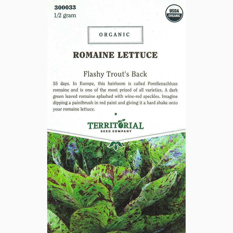 Flashy Trout's Back Lettuce Seeds (Organic) Territorial Seed Company