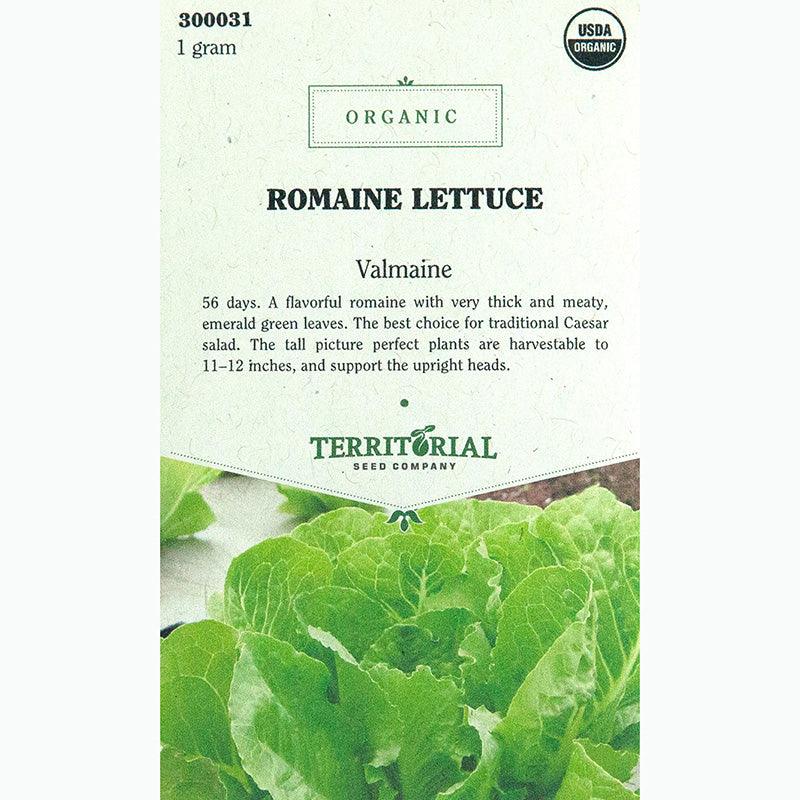 Valmaine Lettuce Seeds (Organic) Territorial Seed Company