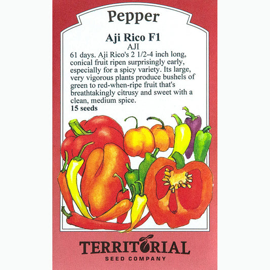 Seed Pack For Aji Rico F1 Peppers By Territorial Seed Company