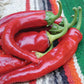 A pile of Anaheim College 64 Hot Peppers resting against a Spanish styled blanket 