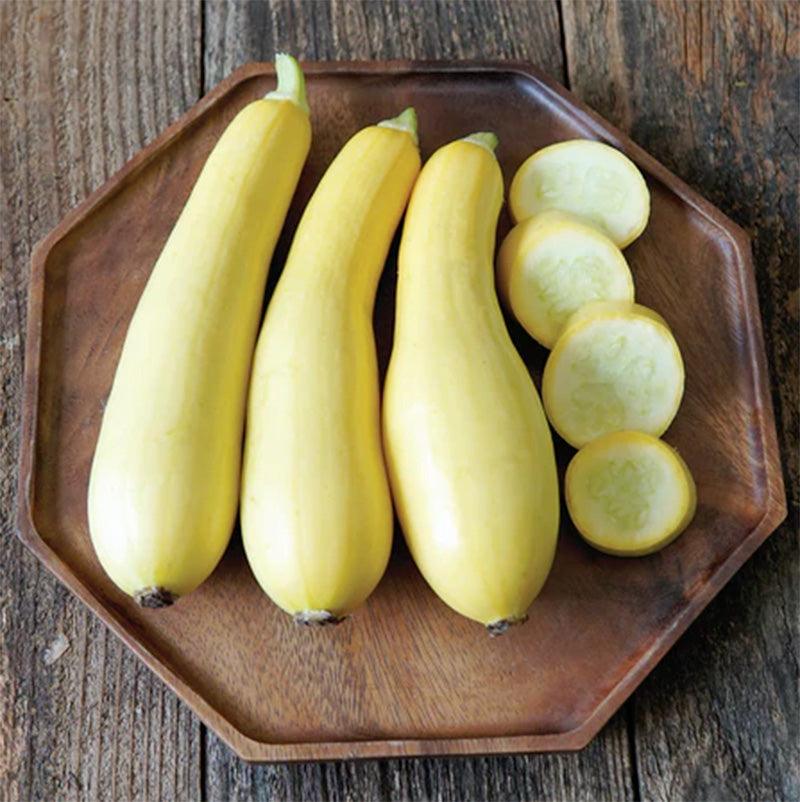 Smooth Criminal Summer Squash Seeds Territorial Seed Company