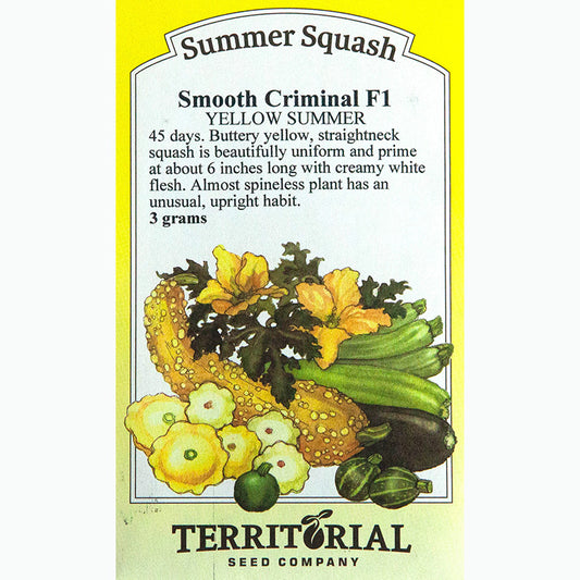 Seed Pack For Smooth Criminal Yellow Summer Squash By Territorial Seed Company 
