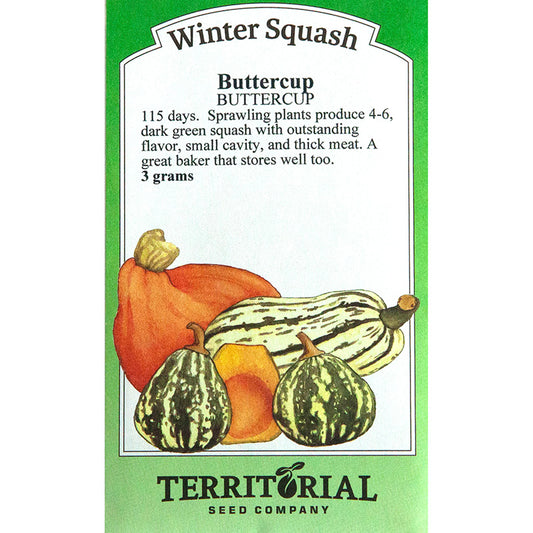 Seed Pack For Buttercup Winter Squash By Territorial Seed Company 