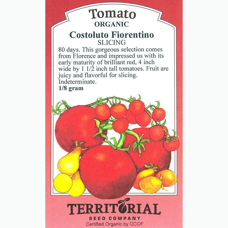 Costoluto Fiorentino Tomato Seeds Territorial Seed Company