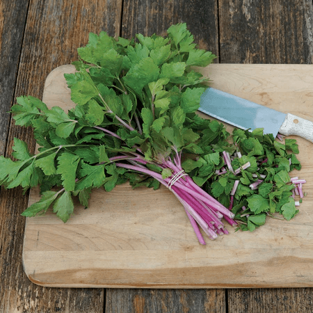 Chinese Pink Celery Territorial Seed Company