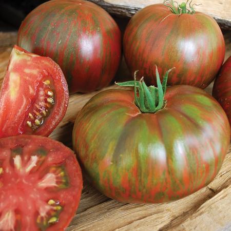 Pink Berkeley Tie-Dye Tomato Territorial Seed Company