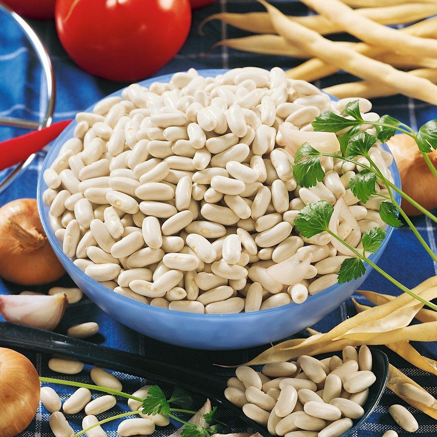 Cannellini Bush Bean Territorial Seed Company