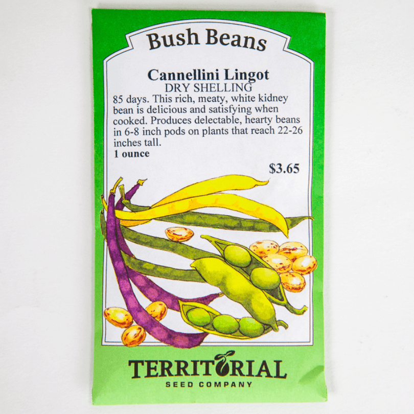 Cannellini Bush Bean Territorial Seed Company