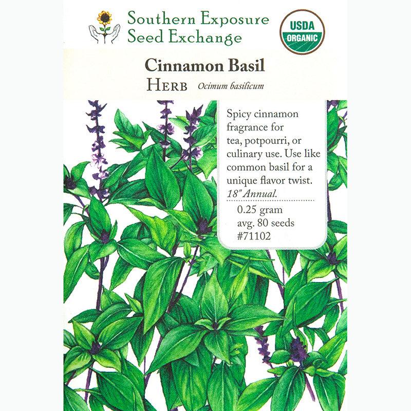 Cinnamon Basil Seeds (Organic) Southern Exposure Seed Exchange